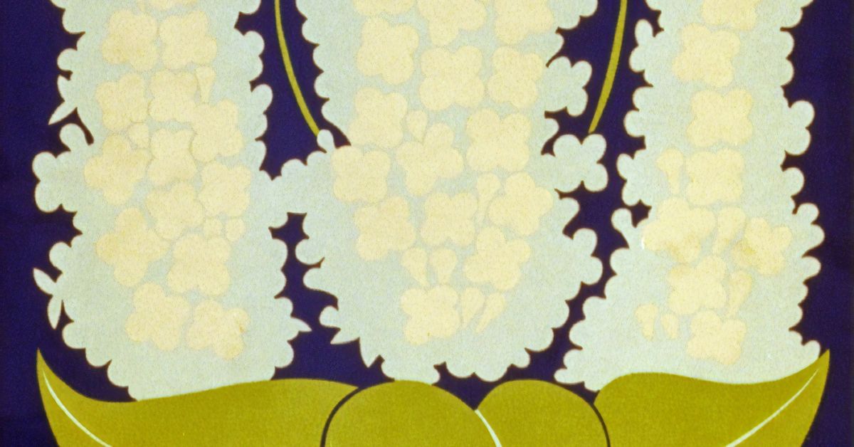 The Art of Pastry Making From Flaky Croissants to Rich Danish Pastries