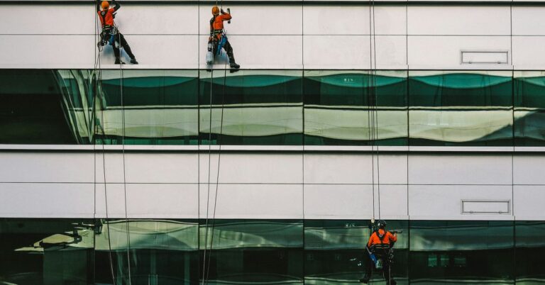 Effective Strategies for Building Team Cohesion
