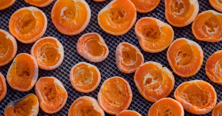 Pumpkin Spice Everything Seasonal Treats